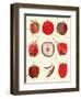 Apple Selection-Cody Alice Moore-Framed Art Print