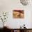 Apple Strudel and Red Apples, Switzerland, Europe-John Miller-Stretched Canvas displayed on a wall