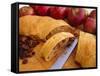 Apple Strudel, Switzerland, Europe-John Miller-Framed Stretched Canvas