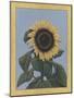 Apple Sunflower-Michele Meissner-Mounted Giclee Print