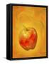 Apple Swirls-Patricia Dymer-Framed Stretched Canvas