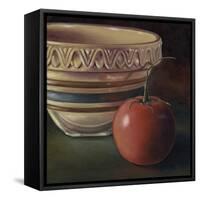 Apple Tomato-Michele Meissner-Framed Stretched Canvas