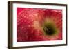 Apple Top-Steve Gadomski-Framed Photographic Print