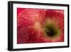 Apple Top-Steve Gadomski-Framed Photographic Print