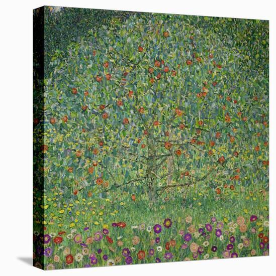 Apple Tree, 1912-Gustav Klimt-Stretched Canvas