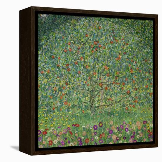 Apple Tree, 1912-Gustav Klimt-Framed Stretched Canvas