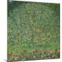 Apple Tree, 1912-Gustav Klimt-Mounted Giclee Print