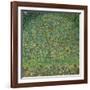 Apple Tree, 1912-Gustav Klimt-Framed Giclee Print