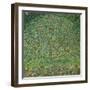 Apple Tree, 1912-Gustav Klimt-Framed Premium Giclee Print