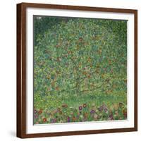 Apple Tree, 1912-Gustav Klimt-Framed Giclee Print