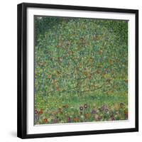 Apple Tree, 1912-Gustav Klimt-Framed Giclee Print