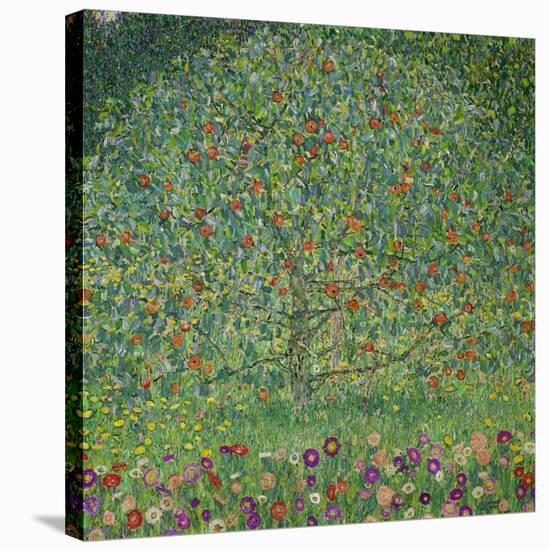 Apple Tree, 1912-Gustav Klimt-Stretched Canvas