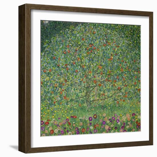 Apple Tree, 1912-Gustav Klimt-Framed Giclee Print