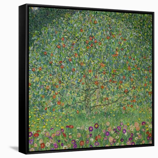 Apple Tree, 1912-Gustav Klimt-Framed Stretched Canvas