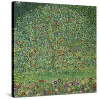 Apple Tree, 1912-Gustav Klimt-Stretched Canvas