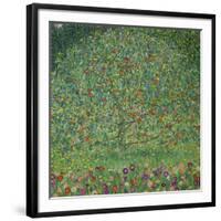 Apple Tree, 1912-Gustav Klimt-Framed Premium Giclee Print