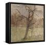 Apple Tree, 1963-William Packer-Framed Stretched Canvas