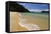 Apple Tree Bay Beach, Abel Tasman National Park, Nelson Region, South Island, New Zealand, Pacific-Stuart Black-Framed Stretched Canvas