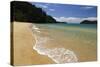 Apple Tree Bay Beach, Abel Tasman National Park, Nelson Region, South Island, New Zealand, Pacific-Stuart Black-Stretched Canvas