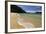 Apple Tree Bay Beach, Abel Tasman National Park, Nelson Region, South Island, New Zealand, Pacific-Stuart Black-Framed Photographic Print