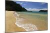 Apple Tree Bay Beach, Abel Tasman National Park, Nelson Region, South Island, New Zealand, Pacific-Stuart Black-Mounted Photographic Print