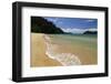 Apple Tree Bay Beach, Abel Tasman National Park, Nelson Region, South Island, New Zealand, Pacific-Stuart Black-Framed Photographic Print