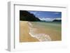 Apple Tree Bay Beach, Abel Tasman National Park, Nelson Region, South Island, New Zealand, Pacific-Stuart Black-Framed Photographic Print