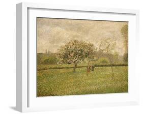 Apple Tree Blossom at Eragny-Camille Pissarro-Framed Giclee Print