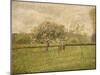 Apple Tree Blossom at Eragny-Camille Pissarro-Mounted Giclee Print