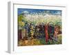 Apple Tree Blossom-Marco Cazzulini-Framed Giclee Print