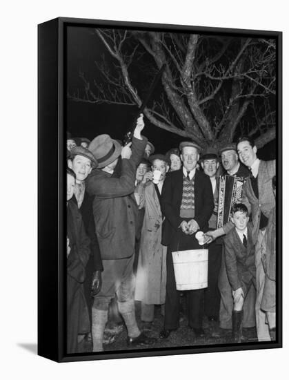 Apple Tree Custom Trees are Toasted with Mulled Cider While Singing a Wassail Song-null-Framed Stretched Canvas