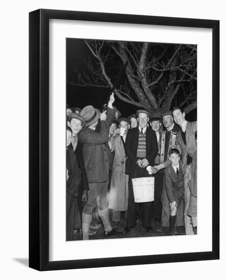 Apple Tree Custom Trees are Toasted with Mulled Cider While Singing a Wassail Song-null-Framed Photographic Print