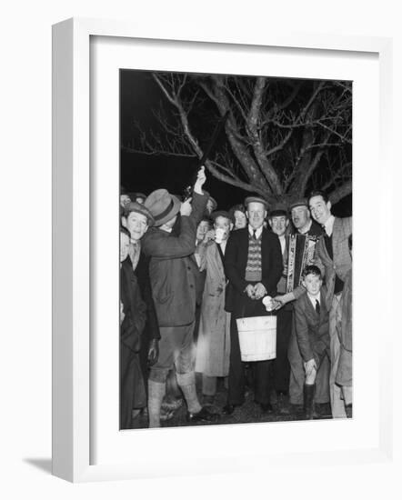 Apple Tree Custom Trees are Toasted with Mulled Cider While Singing a Wassail Song-null-Framed Photographic Print
