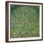 Apple Tree I, 1911 or 1912 Oil on canvas (109 x 110 cm) Estates of Ferdinand and Adele Bloch-Bauer.-Gustav Klimt-Framed Giclee Print