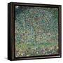 Apple Tree I, 1912-Gustav Klimt-Framed Stretched Canvas