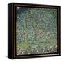 Apple Tree I, 1912-Gustav Klimt-Framed Stretched Canvas