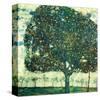 Apple Tree II, c.1916-Gustav Klimt-Stretched Canvas