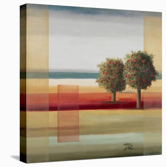 Apple Tree II-Patricia Pinto-Stretched Canvas