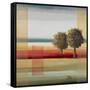 Apple Tree II-Patricia Pinto-Framed Stretched Canvas