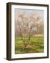 Apple Tree in Blossom, Pommiers en Fleurs-Henri Martin-Framed Giclee Print