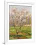 Apple Tree in Blossom, Pommiers en Fleurs-Henri Martin-Framed Giclee Print