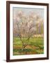 Apple Tree in Blossom, Pommiers en Fleurs-Henri Martin-Framed Giclee Print