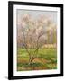 Apple Tree in Blossom, Pommiers en Fleurs-Henri Martin-Framed Giclee Print