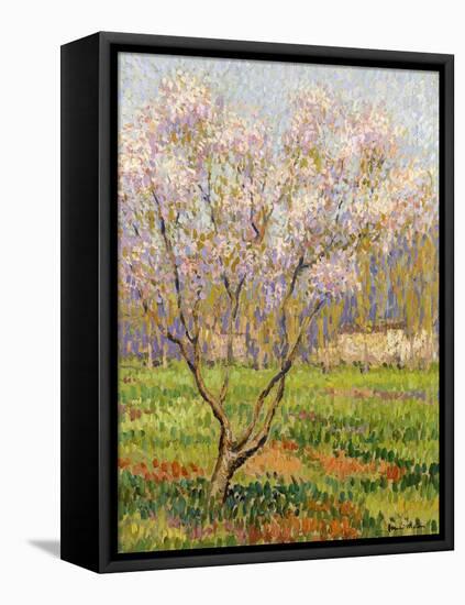 Apple Tree in Blossom, Pommiers en Fleurs-Henri Martin-Framed Stretched Canvas