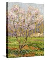 Apple Tree in Blossom, Pommiers en Fleurs-Henri Martin-Stretched Canvas