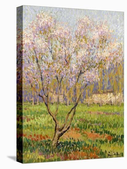 Apple Tree in Blossom, Pommiers en Fleurs-Henri Martin-Stretched Canvas