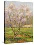 Apple Tree in Blossom, Pommiers en Fleurs-Henri Martin-Stretched Canvas