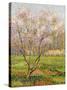 Apple Tree in Blossom, Pommiers en Fleurs-Henri Martin-Stretched Canvas