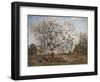 Apple Tree in Blossom-Carl Fredrik Hill-Framed Giclee Print