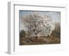 Apple Tree in Blossom-Carl Fredrik Hill-Framed Giclee Print